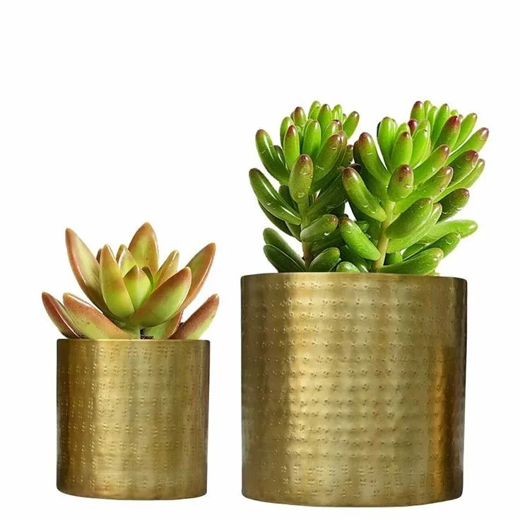 Plant Pots Decorations Garden Pots & Planters Flower Pots & Planters