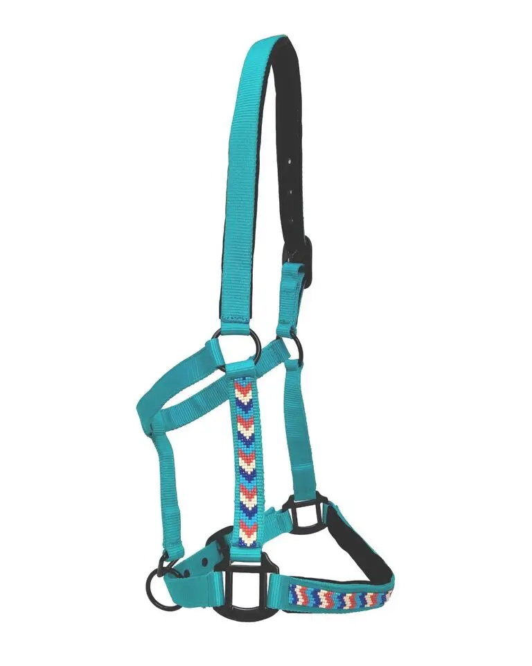High Quality Equestrian Horse Equipment Nylon Horse Halter Multiple Colors Horse Halters With