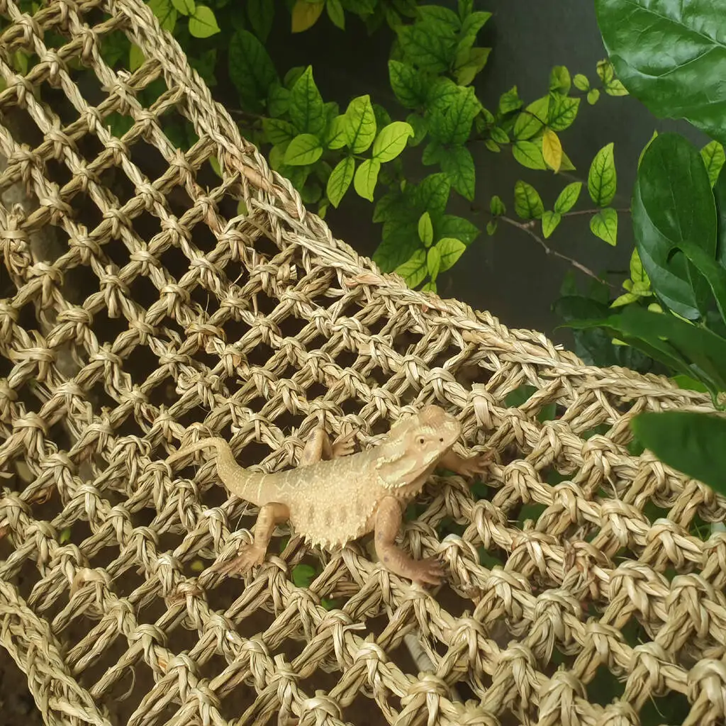 Vietnam Supplier Reptology Lizard Lounger 100 Natural Seagrass Fiber Great For Bearded Dragons