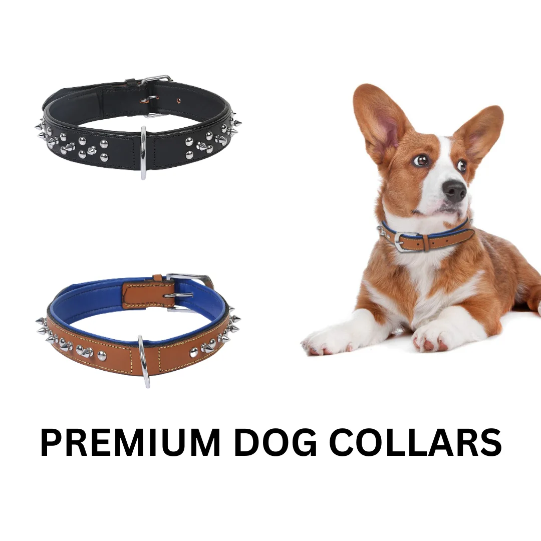 Manufacturer And Wholesaler Of Dog Collars Striped And Universal Pet