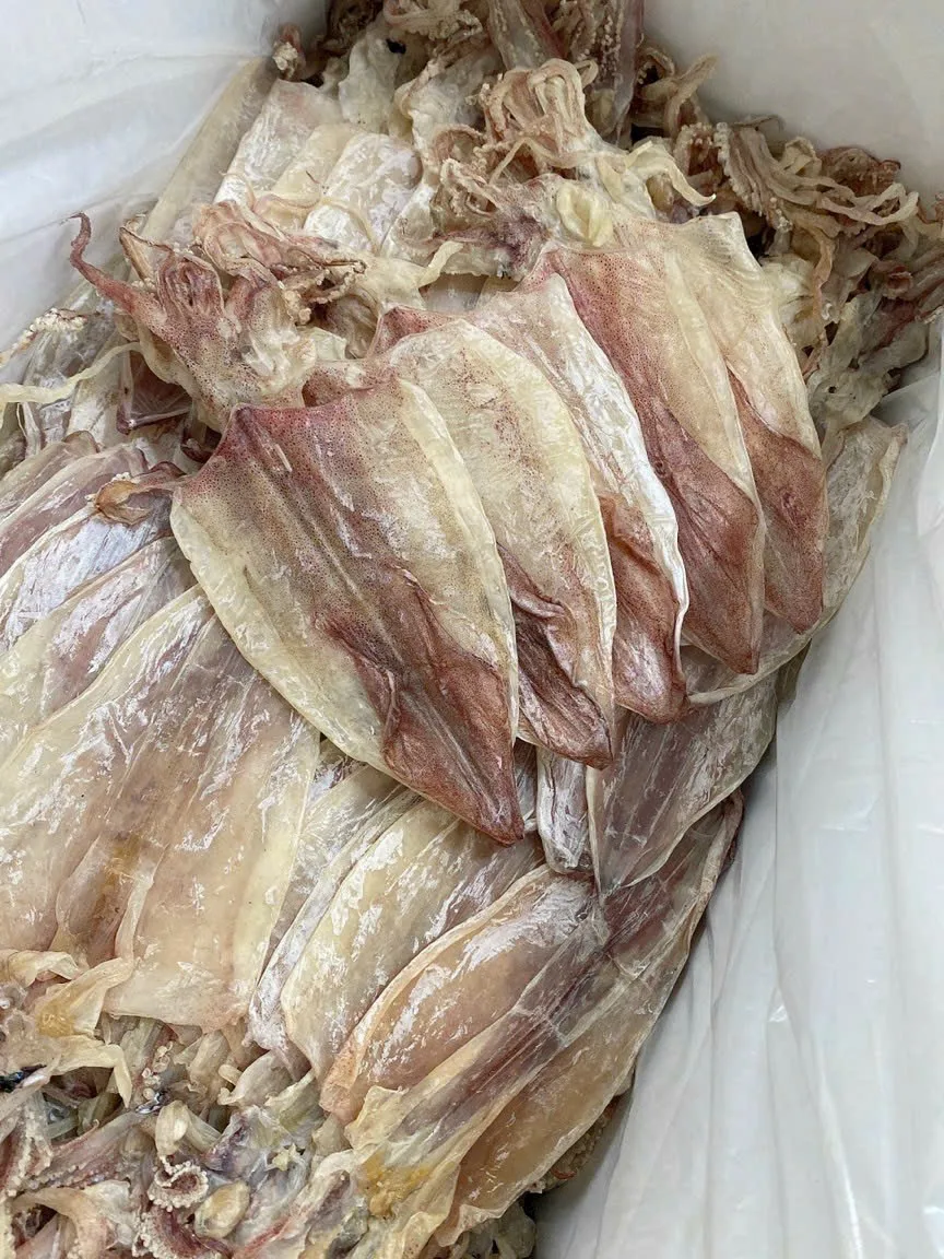 Dried Thin Squids Sotong Kering Nipis With 2 Year Shelf Life Chiller Storage// Many Sizes Dried