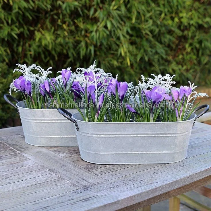 Garden Plant Pot Galvanized Iron Metal Flower Planter With Handles