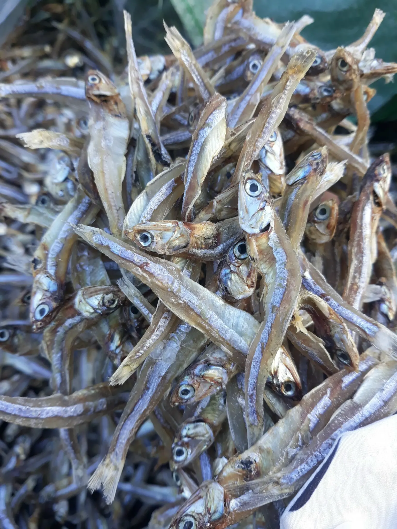 Dried Anchovies Are An Ingredient Often Used By Families To Prepare