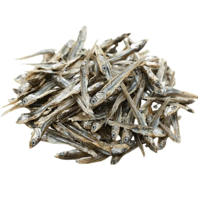 Anchovy Mediterranean,Forage Fish,Small Fish Buy Anchovy canned