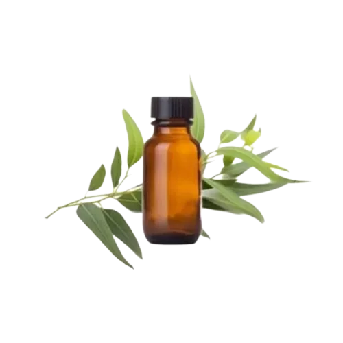 Hot Sell 2023 Pure Eucalyptus Oil With Top Grade Oil For Multi Purpose