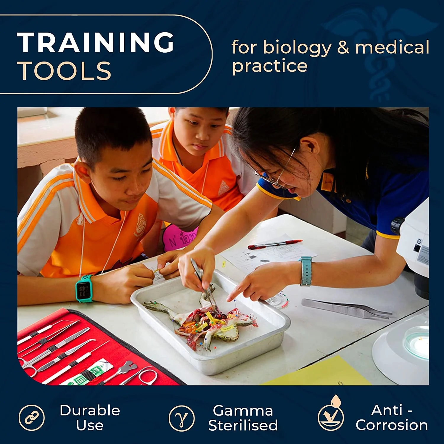 thumbnail image 2 of Cow Eye Dissection Kit With Specimen - Complete Anatomy Lab Set For Biology Students 2 of 14