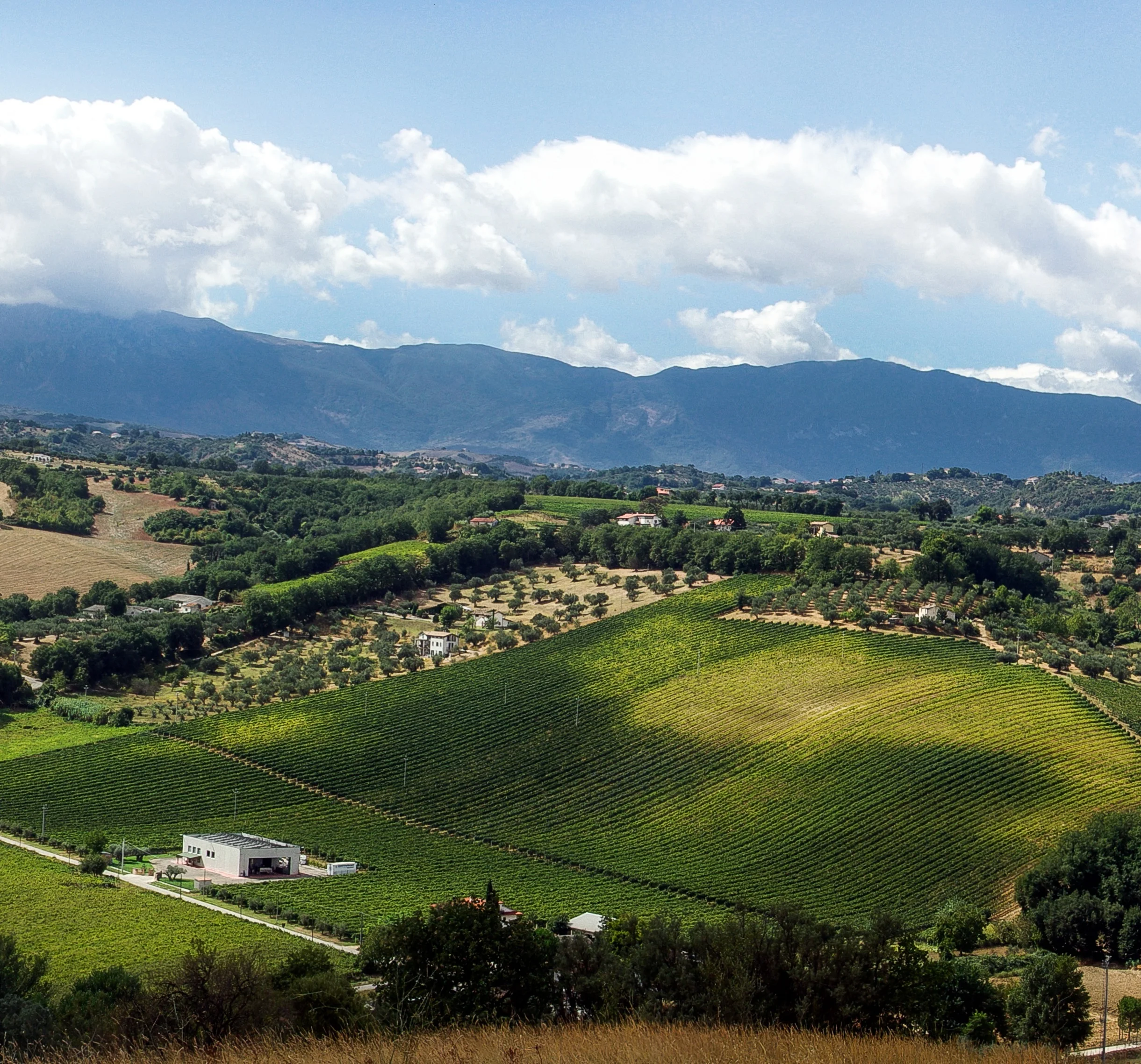 High Italian Quality Bio Oaked 75cl Montepulciano Grapes Doc Red Wine