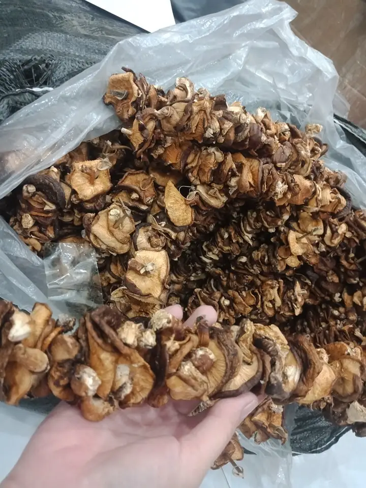 Allnatural Dried Shiitake Mushrooms Grown In Vietnam With The Cheapest