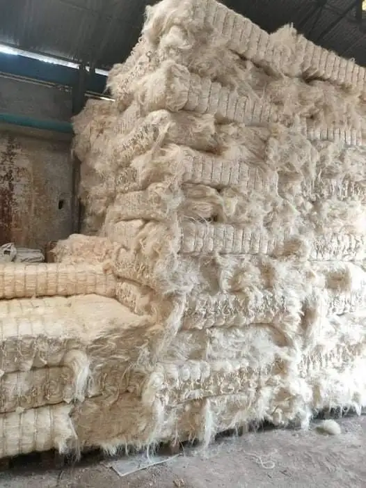 Wholesale Sisal Fiber For Gypsum /gypsum Hair For Sale In Bulk