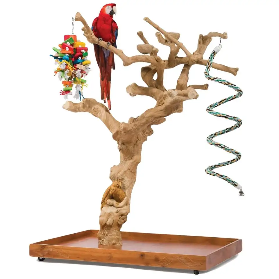 Java Wood Coffee Wood Parrot Bird Perch Tree Parrot Playstand Bird Toys