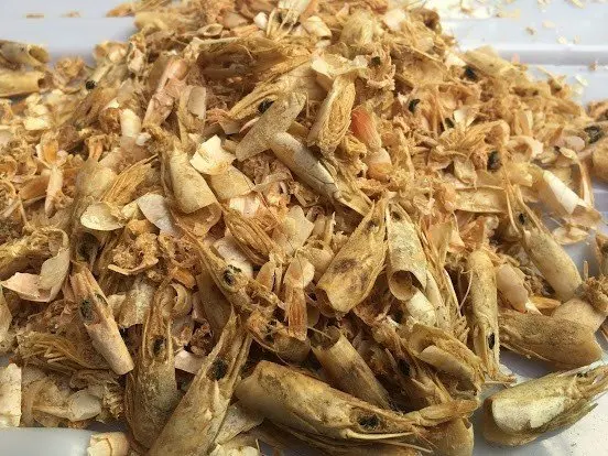 Best Seller 2023/ Vietnamese Product Shrimp Shell For Animal Feed I ...