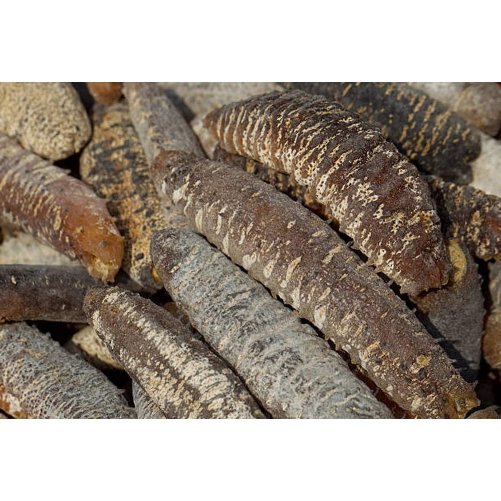 Sell Blake Dried Sea Cucumber Trepang Sea Slug Dried Prickly Sea