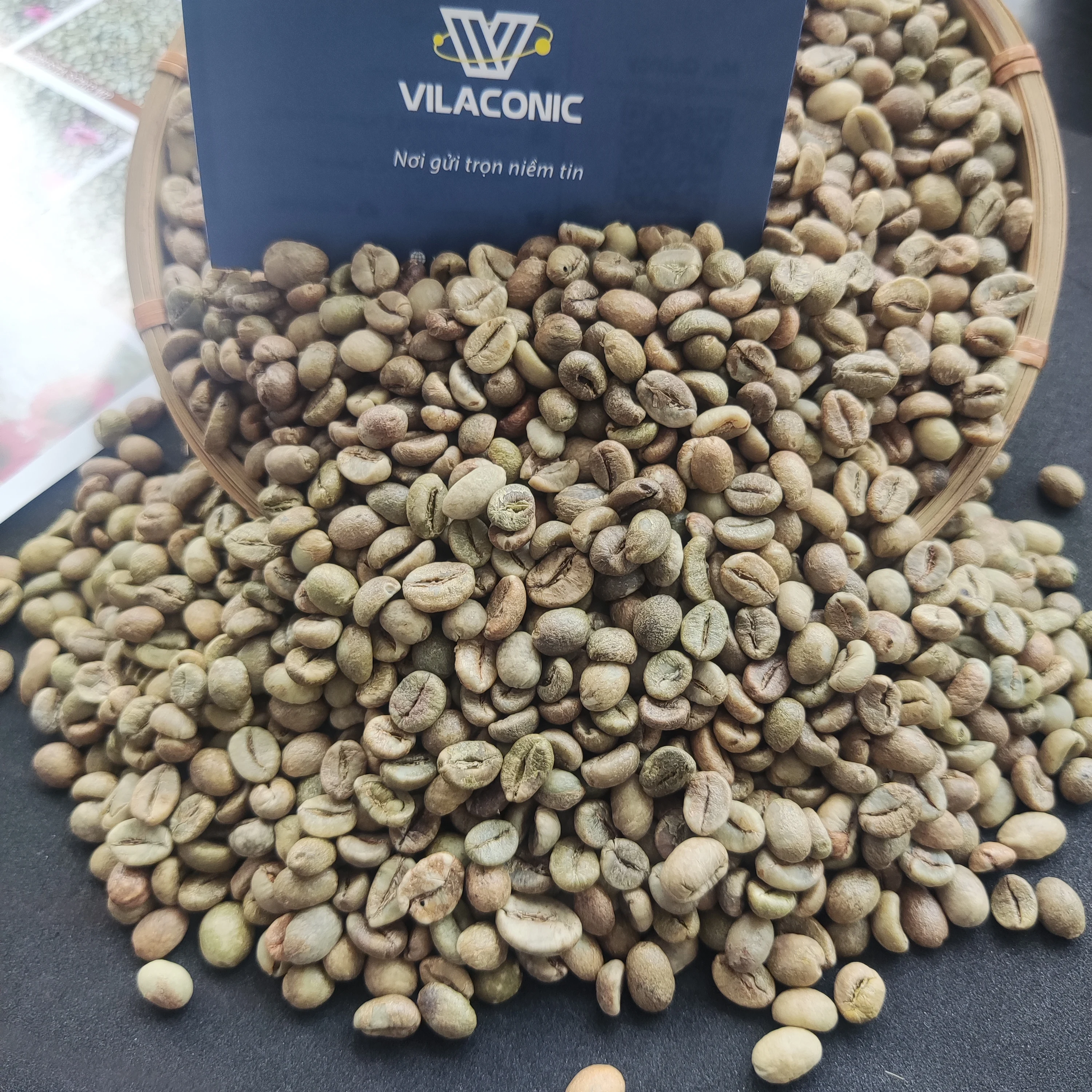 Pure Green Beans Robusta Screen 13/16/18 Wholesale Coffee Beans From