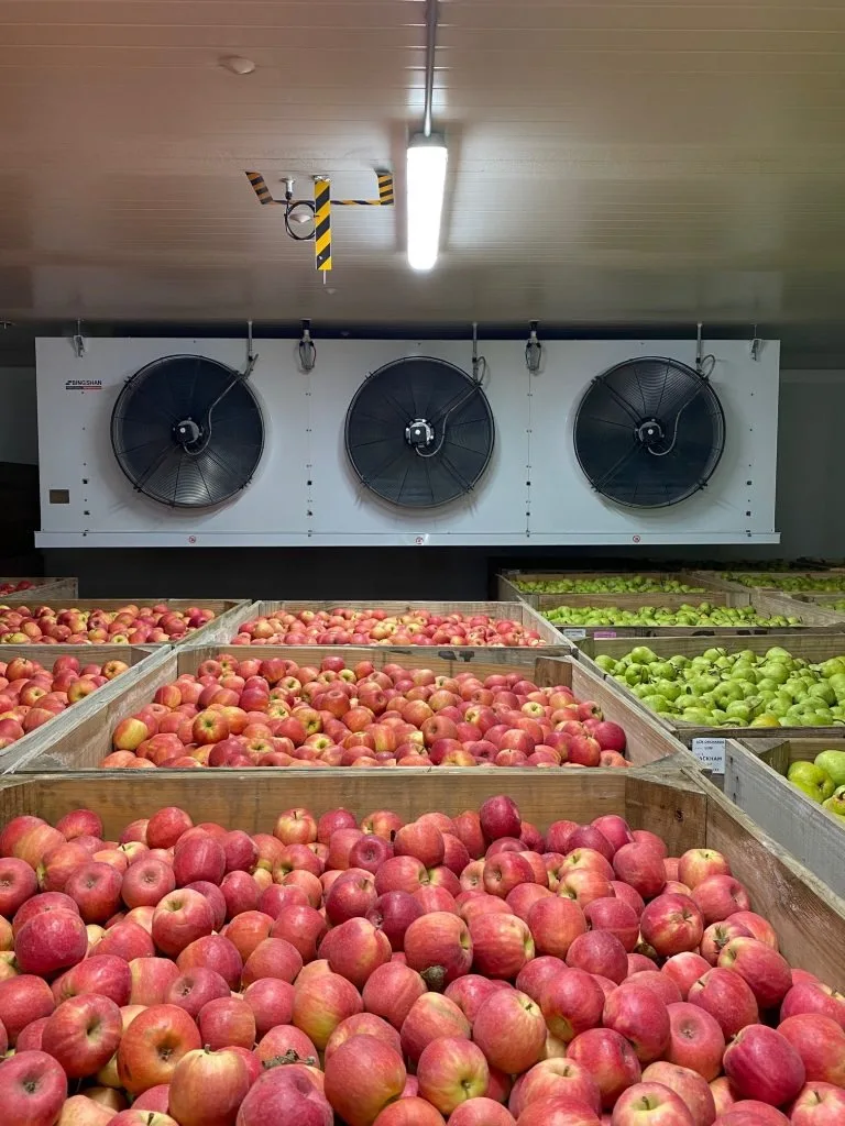 Automatic Customized Vegetable Fruit Food And Beverage Customized Cold