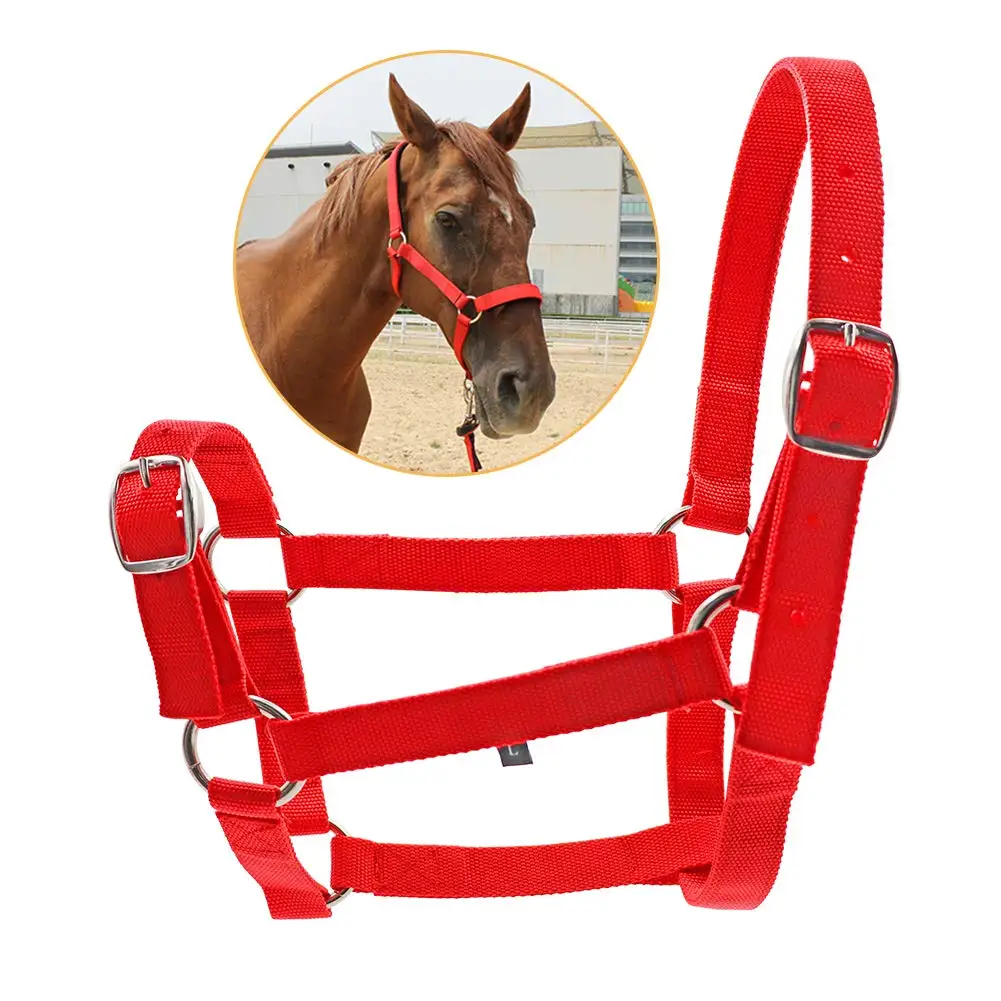 Adjustable Safety Soft Equine English Headcollar Leather Buckles Rope