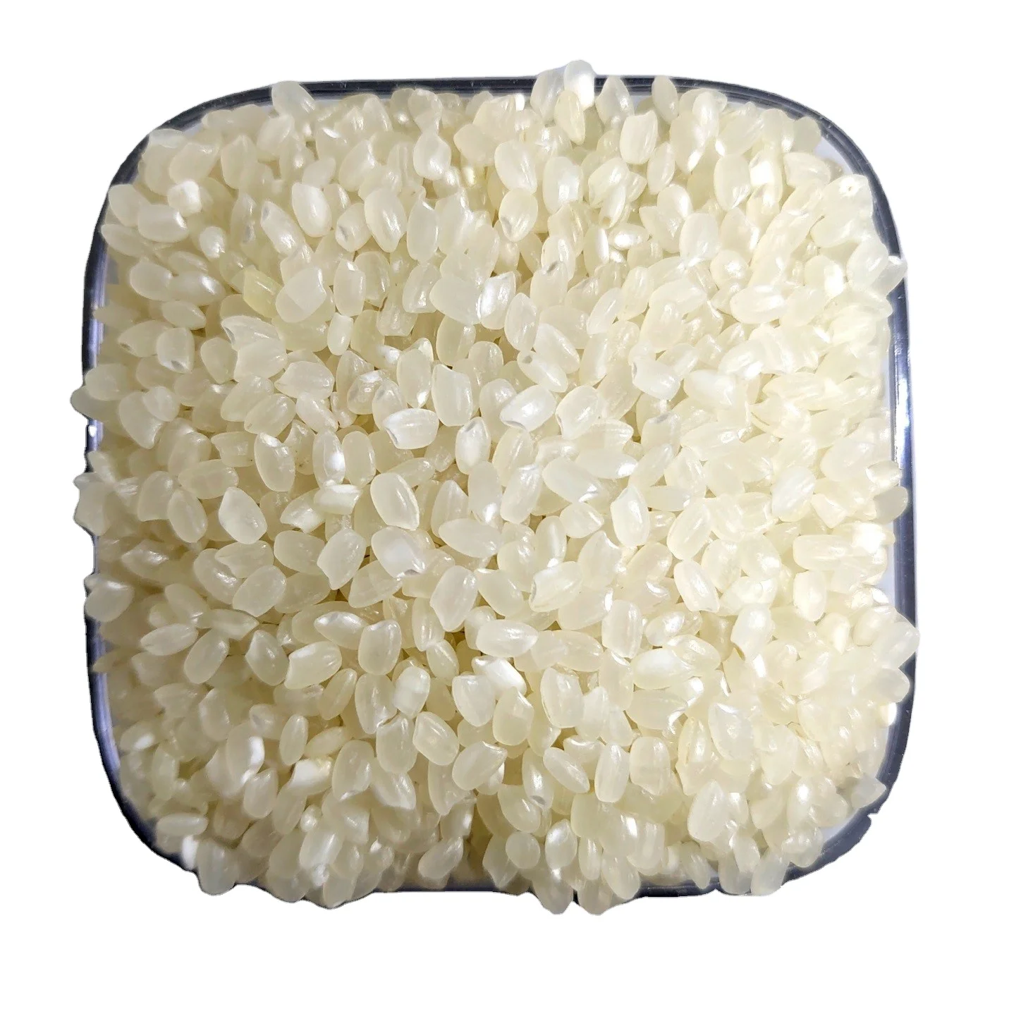Short Japonica Rice From Vietnam Available For Export Buy Rice Export
