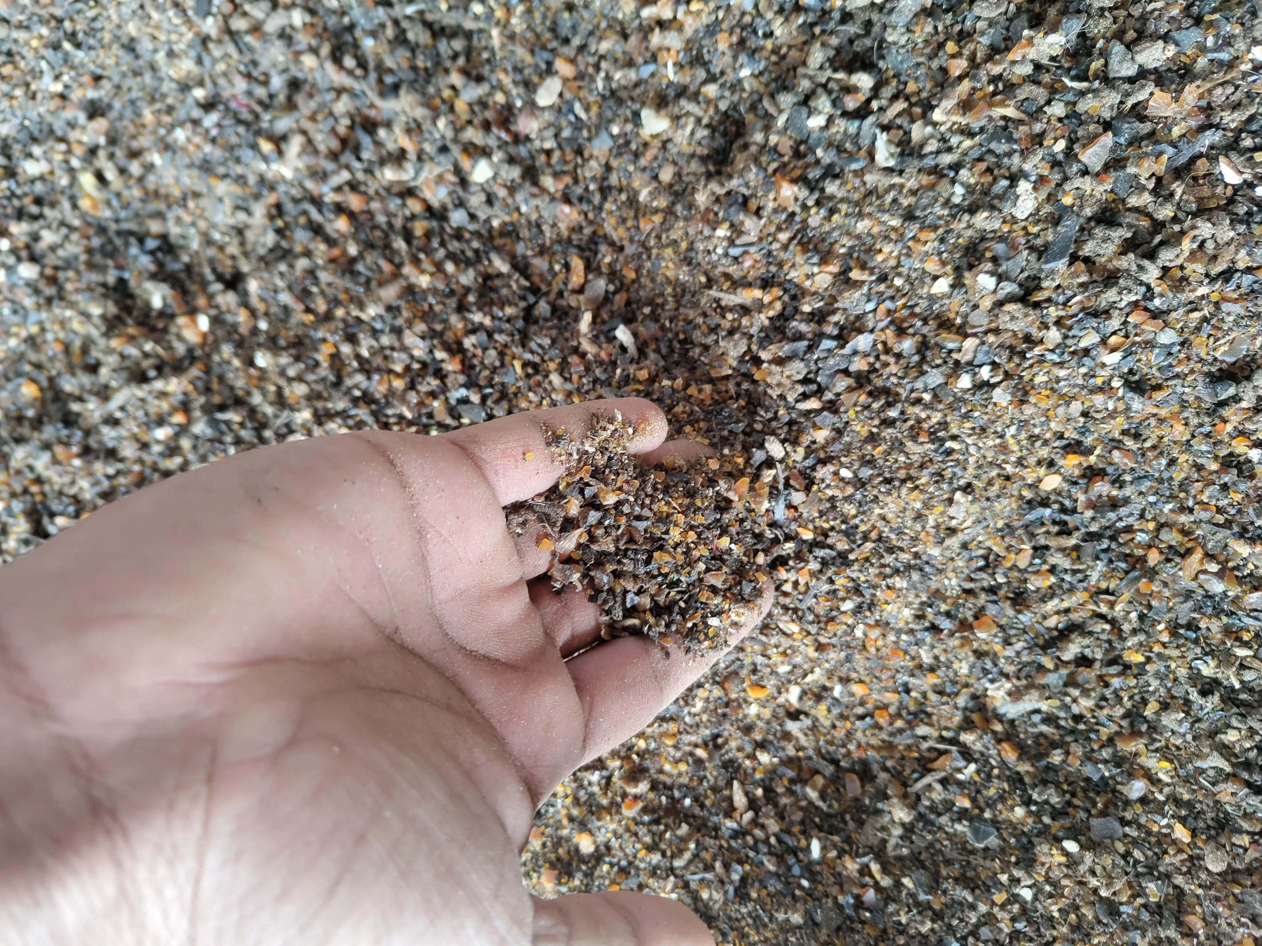 Natural Horn And Hooves Organic Fertilizer Very Clean And Quality