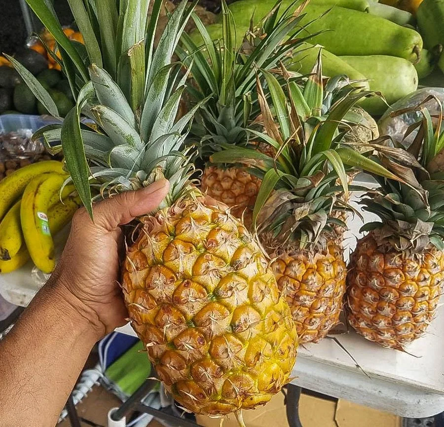 Wholesale100 Natural Fresh Pineapple Sale Fresh Pineapples With