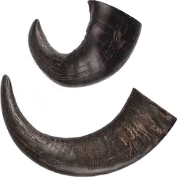 are water buffalo horns safe for dogs