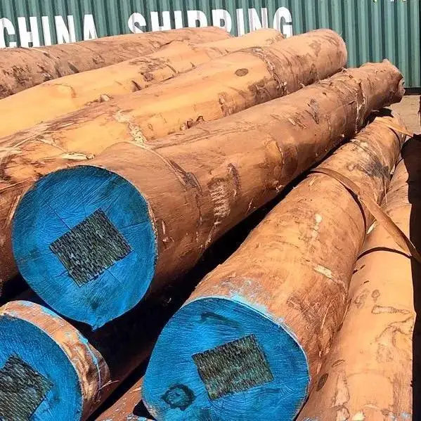Wholesale Good Quality Teak Wood Logs Teak Sawn Timber For Sale Buy Yellow Meranti Sawn Timber