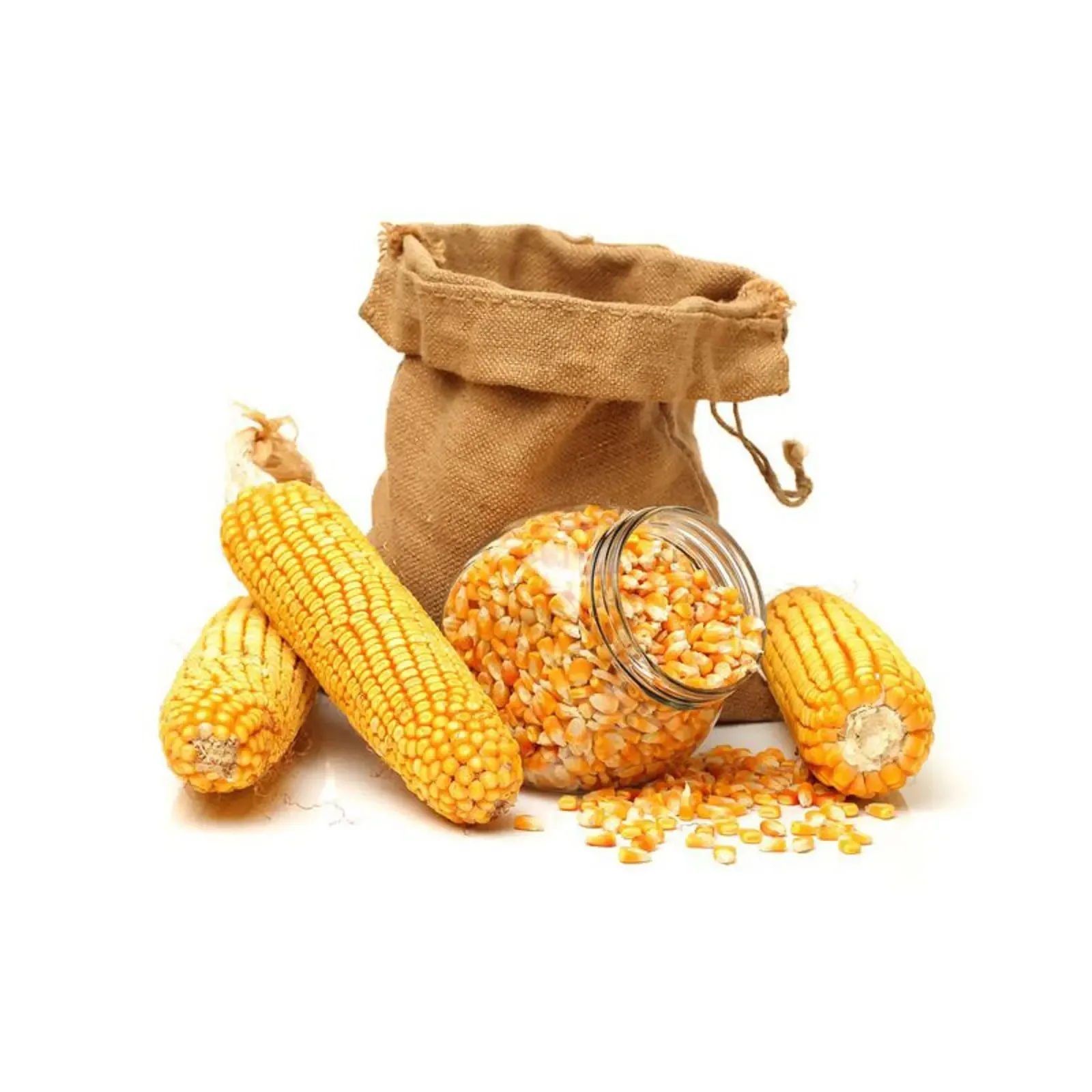 Yellow Corn White Maize For Human Animal Feed Sweet Corn Price Packaging In Bags Yellow For Sale