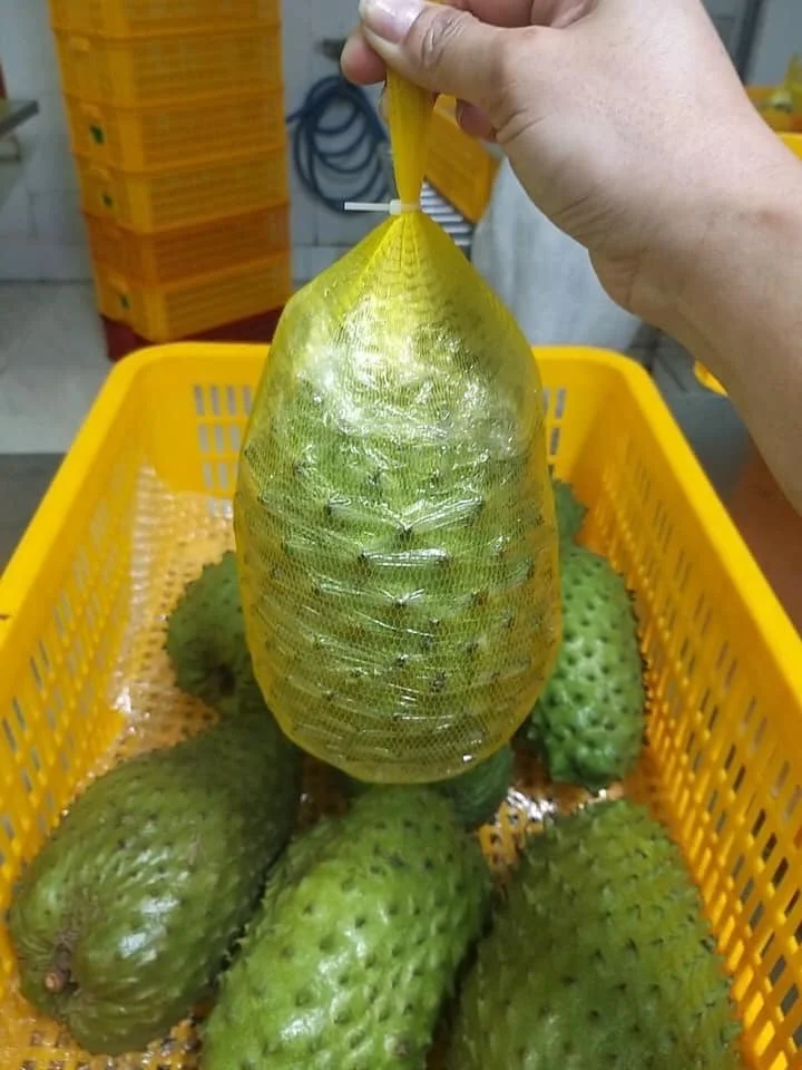 Good Price Frozen Soursop Fruit/ Guanabana Soursop/ Natural Frozen