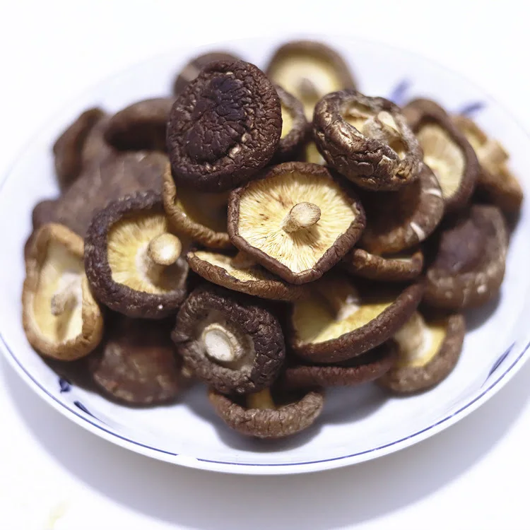 Dried Pleurotus Ostreatus Wholesale Uncut Full Oyster Mushrooms With