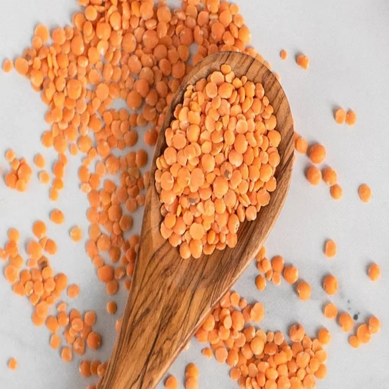 Quality Bulk Dried Lentils Red Lentils Green Lentils Buy Red Lentils