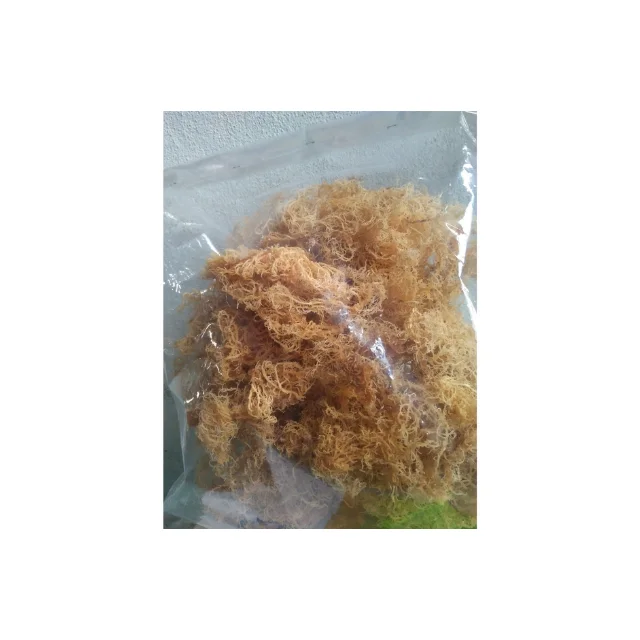 Edible Eucheuma Seaweed Seamoss/sun-dried Gold Sea Moss/ New Products ...