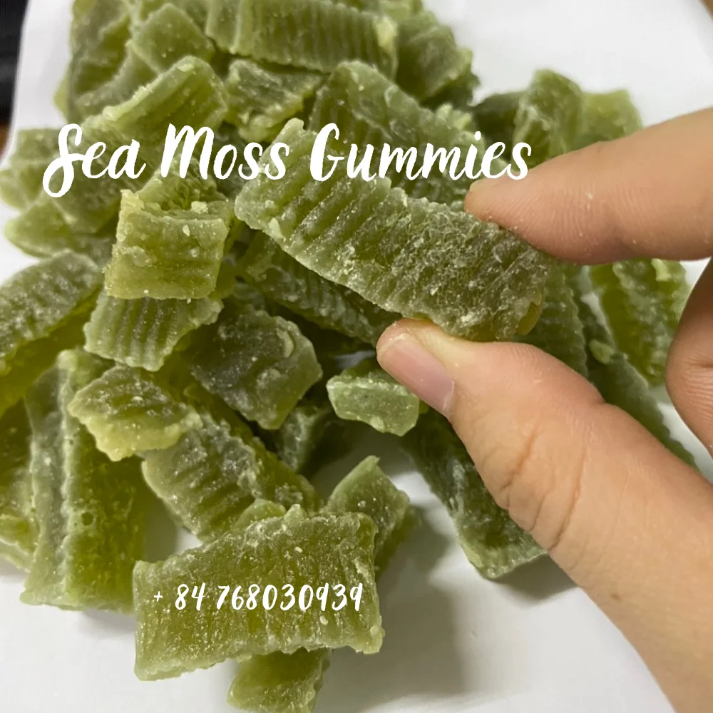 Best Sea Moss Gummies To Buy High Quality Sea Moss Gummies From Vietnam Best Supplier At Competitive