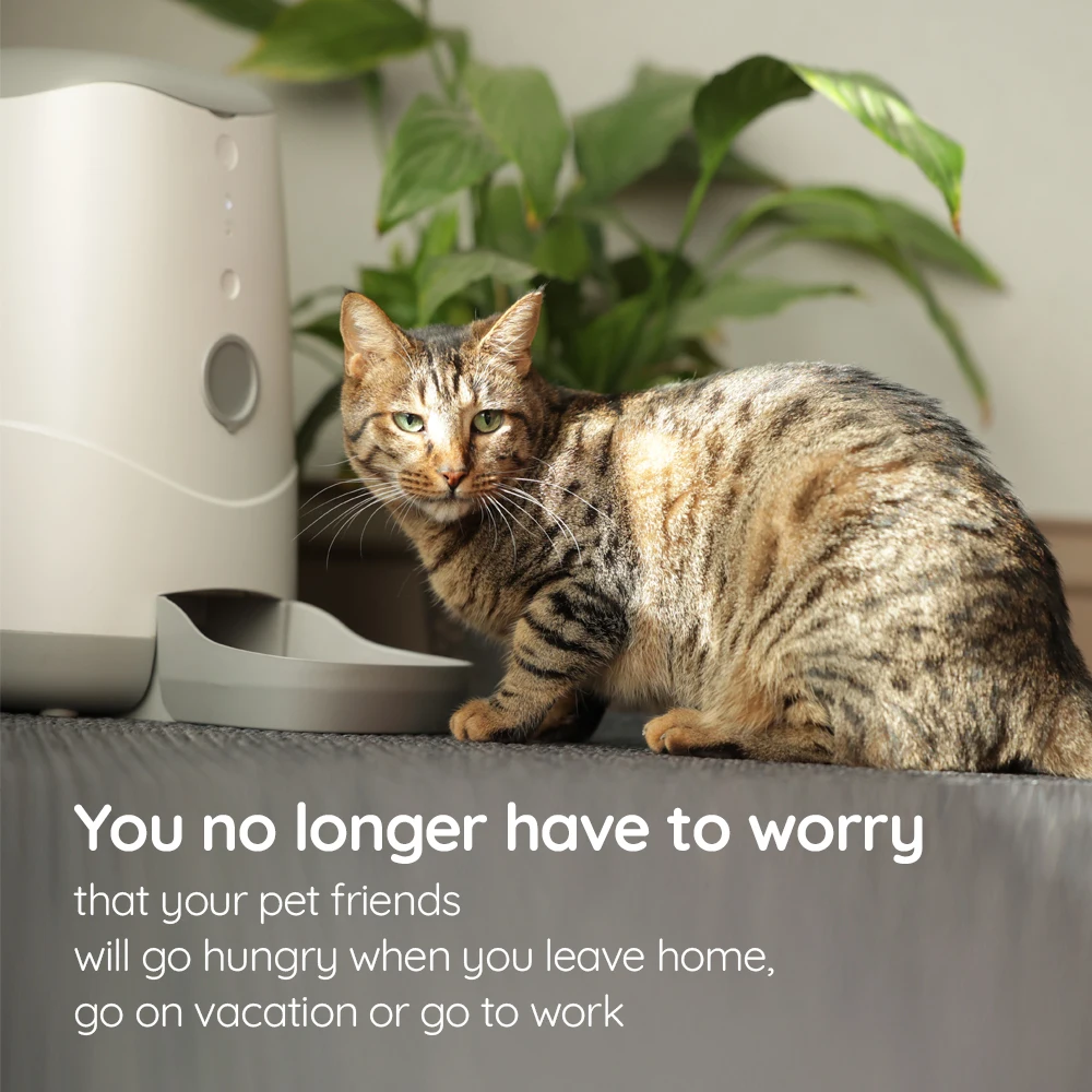 Bilicra Feed Me Wifi Smart Pet Feeder Support App For Android And Ios