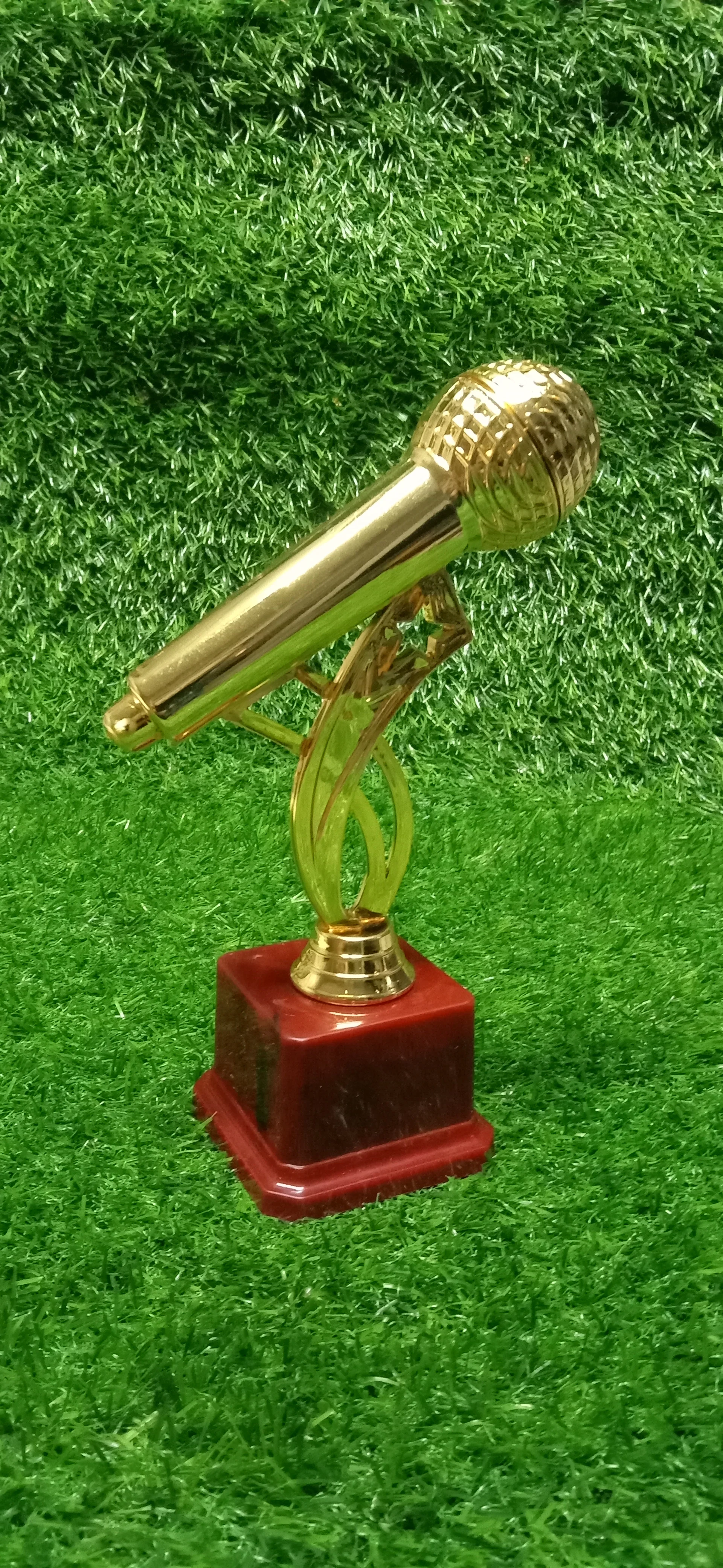 Antique Selling Plastics Decorative Celebrations Ceremony Appreciation