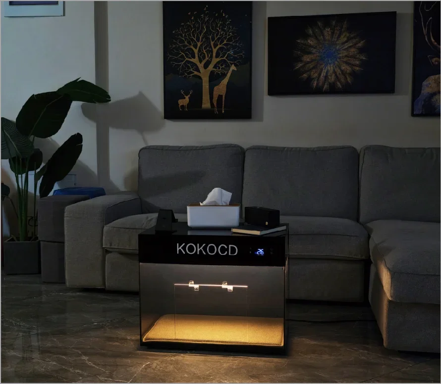 KOKOCD K01-B internal structure and semiconductor cooling technology demonstration