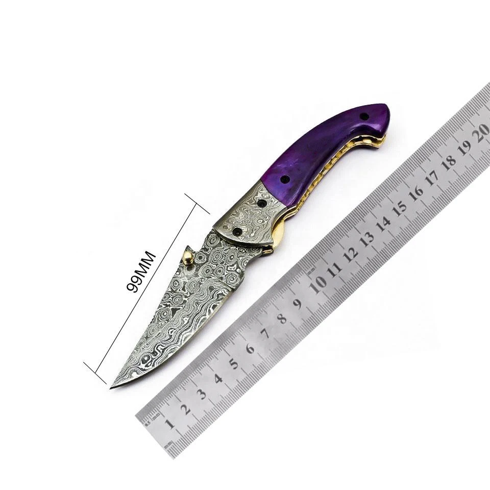 Sialkot / Folding Knife Damascus Steel Hunting Outdoor Pocket Knife