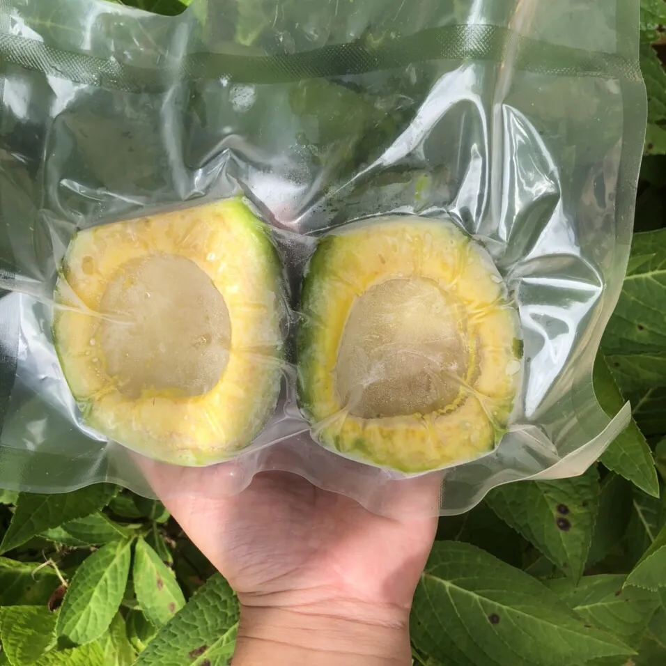 Wholesale High Quality Frozen Fruit Frozen Avocado Vacuum Pack 2