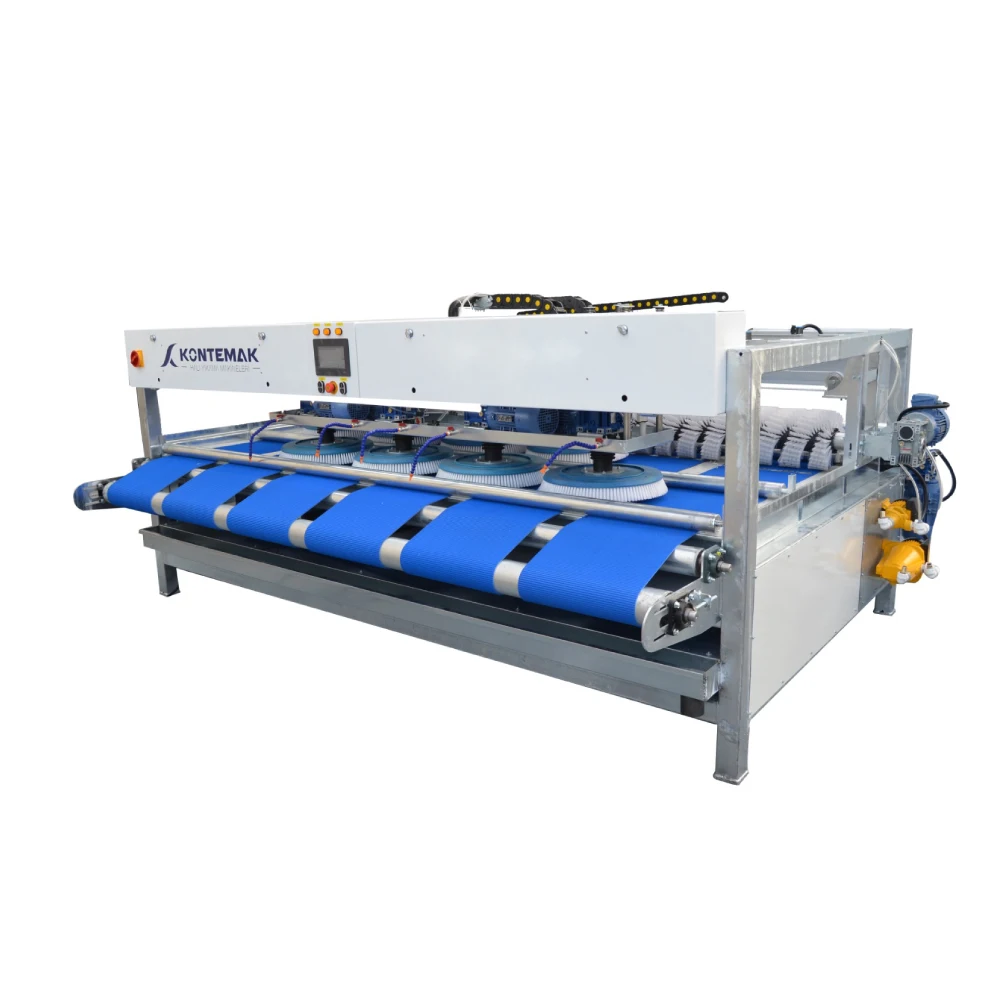 Ecovision2700d Economic Carpet Washing Machine Hot Sale Automatic