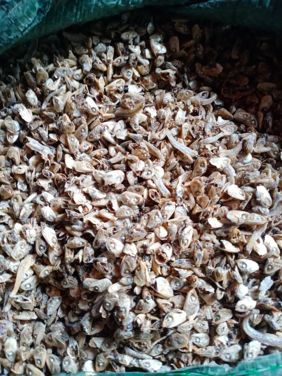 Animal Feed From Vietnam Buy Soybean Meal fish Meal fish Feed animal