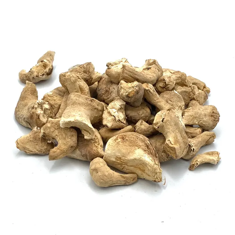 Dried Shiitake Mushroom Fungus Stem Hight Quality Best Price // Ms