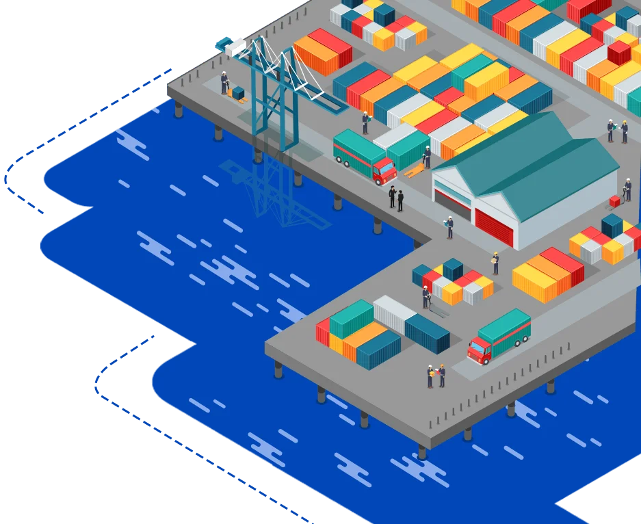 Brazil Halal Frozen Whole Chicken,Frozen Chicken Paws Frozen Processed