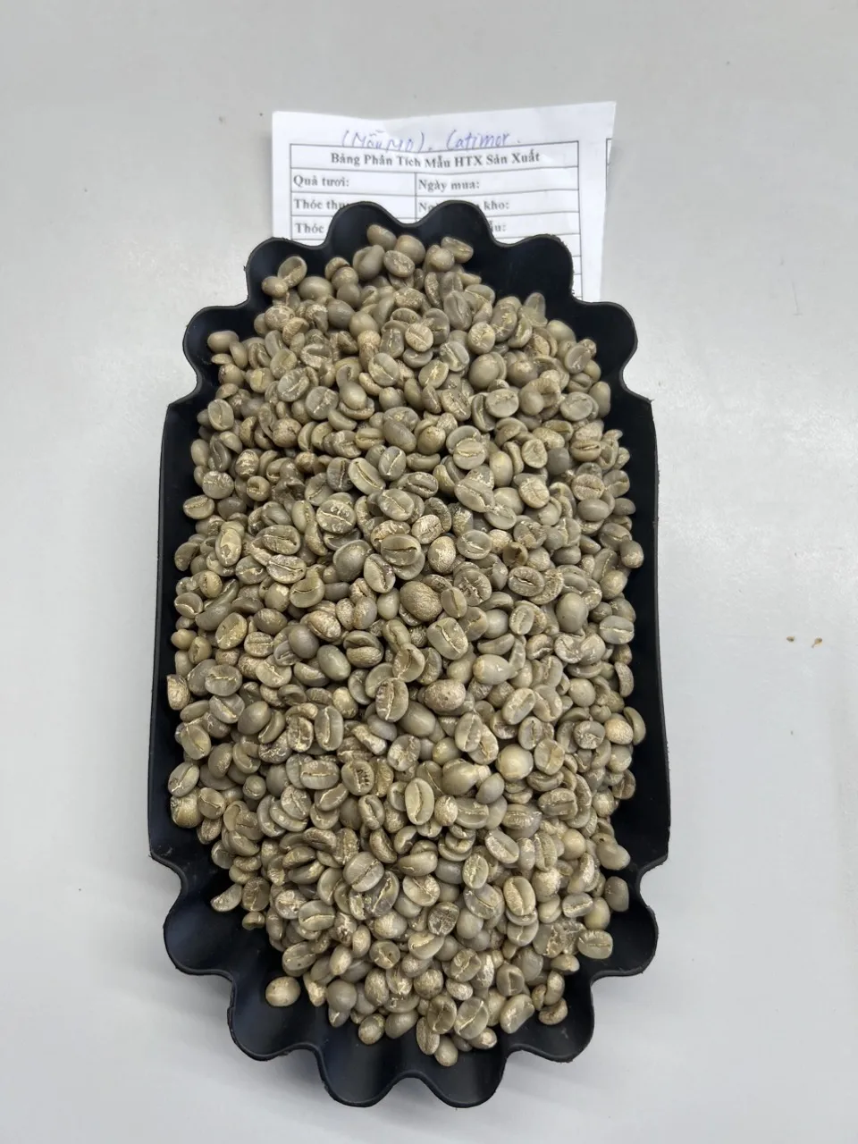 Arabica Green Beans Coffee Of Vietnamese Wholesale Supplier Grade