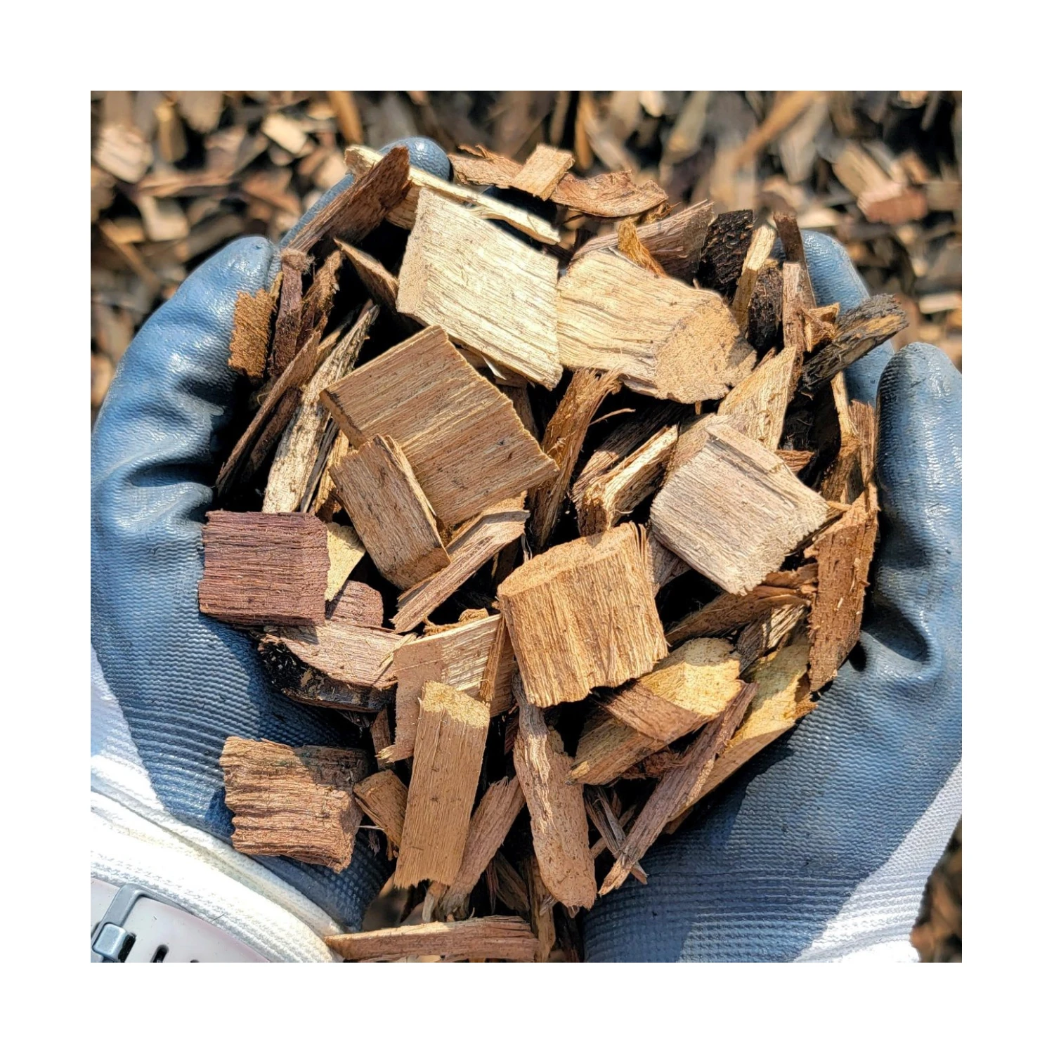 High Quality Wood Chip/ Wood Pulp From Vietnam At Lowest Price Buy
