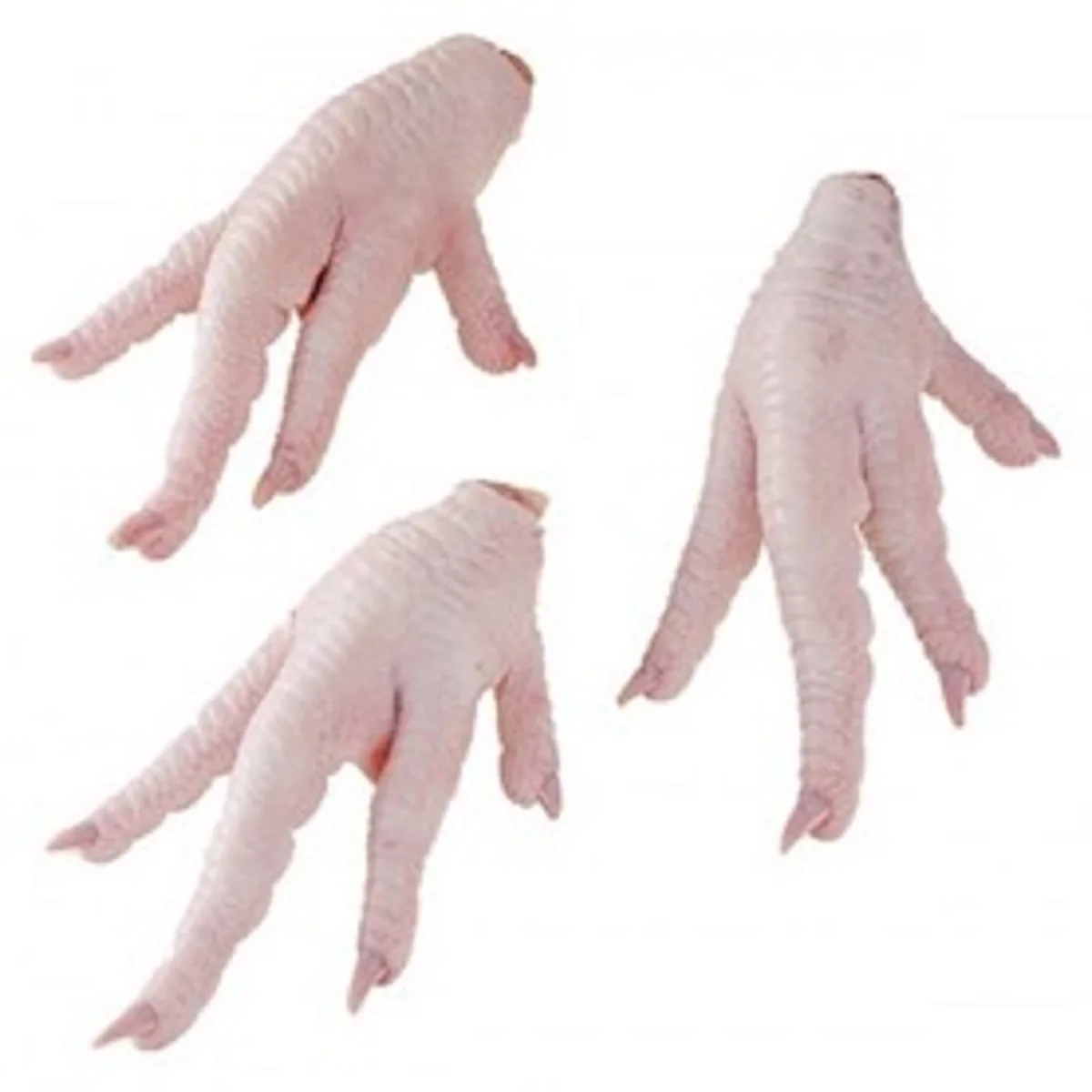 High Quality Frozen Chicken Feet Chicken Paws For Sale / 100 Fresh Frozen Chicken Feet Buy