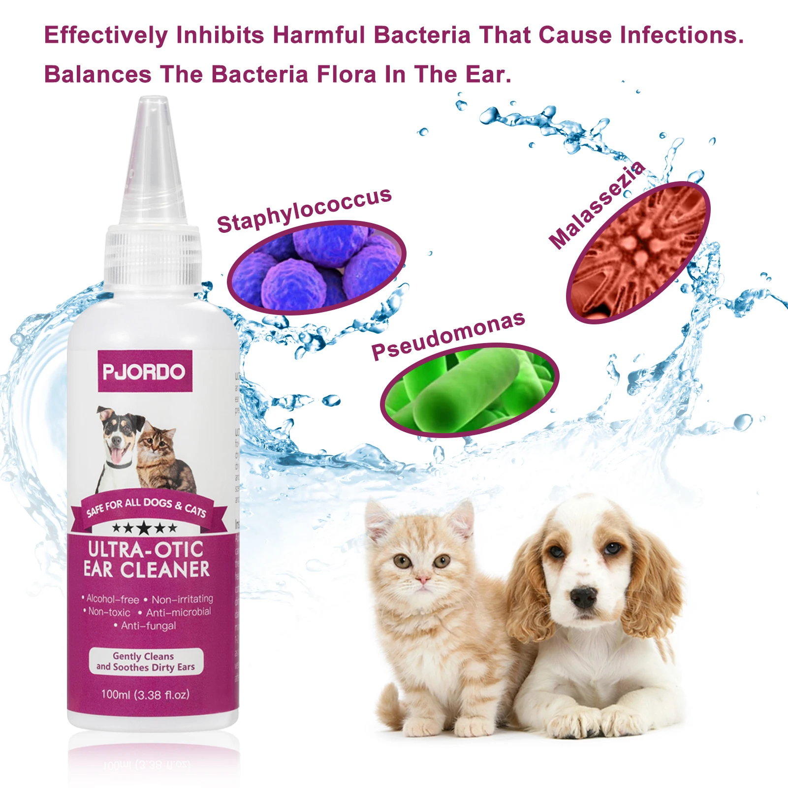 Pseudomonas Ear Infection Dog lupon.gov.ph