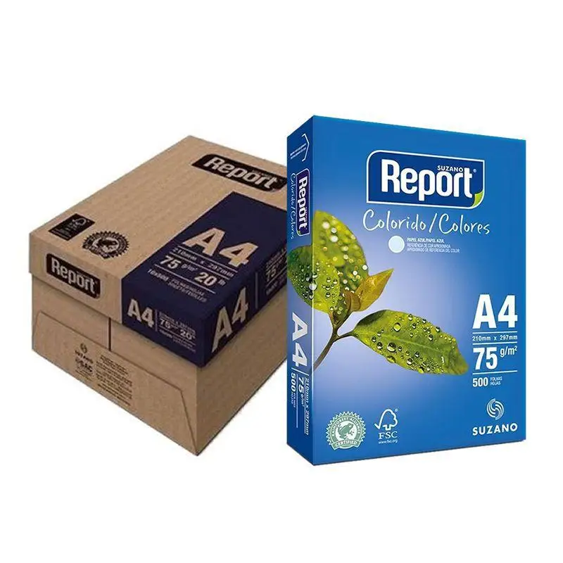 Suzano Report Premium 75 Gsm 500 Sheets A4 Copier Paper (5 Reams) - Buy ...