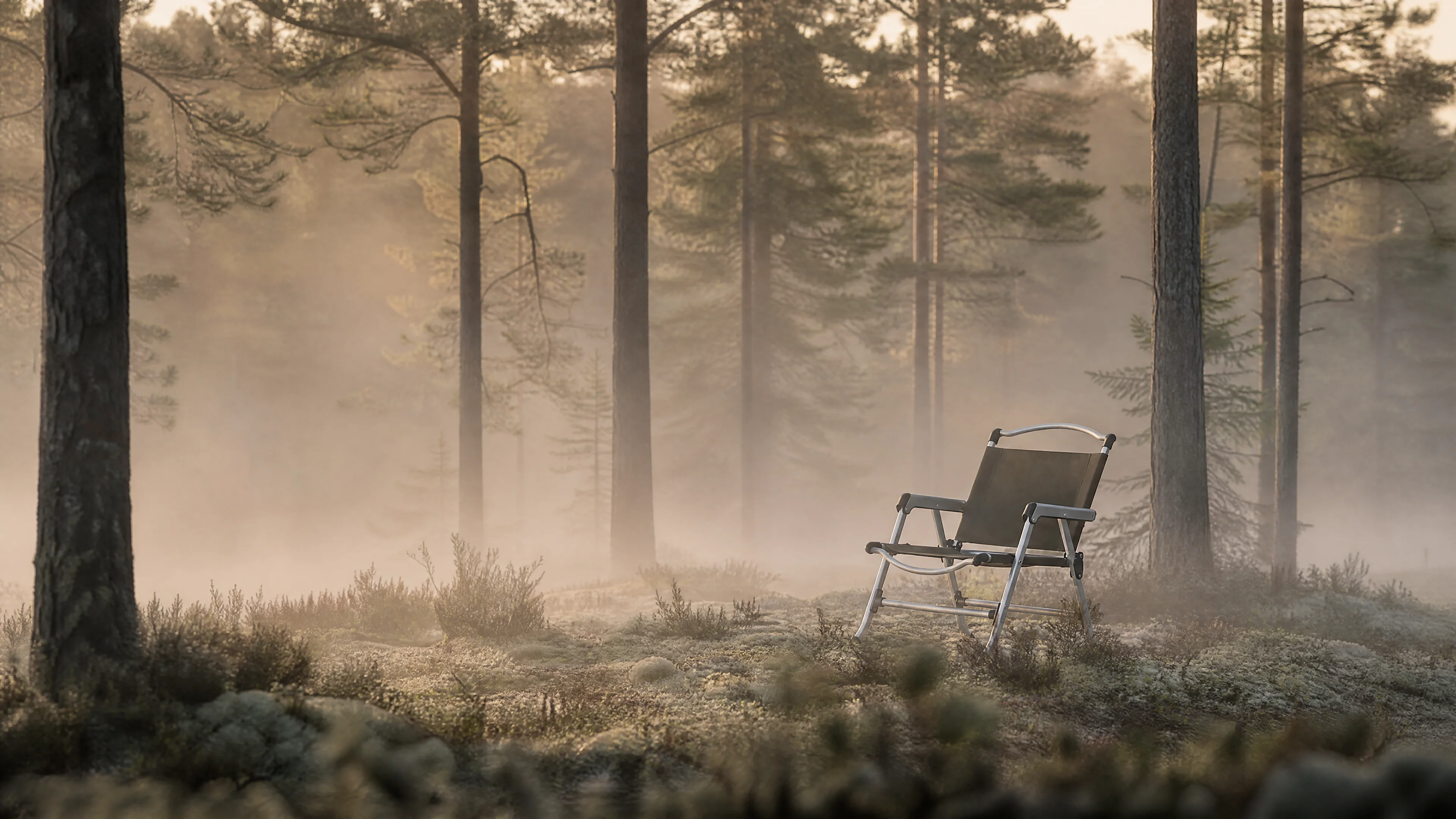 SummitSage Forest Silence