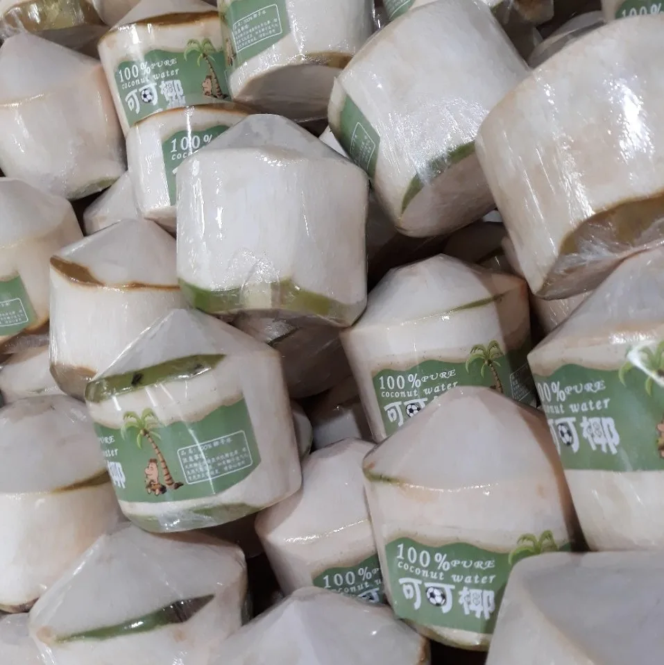 Diamond Shaped Coconut Young Sweet Coconut Water Coconut with Good ...
