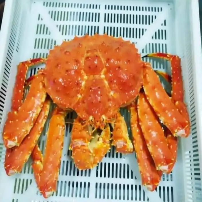Whole King Crab -alaskan King Crab/ Colossal Red King Crab Legs For