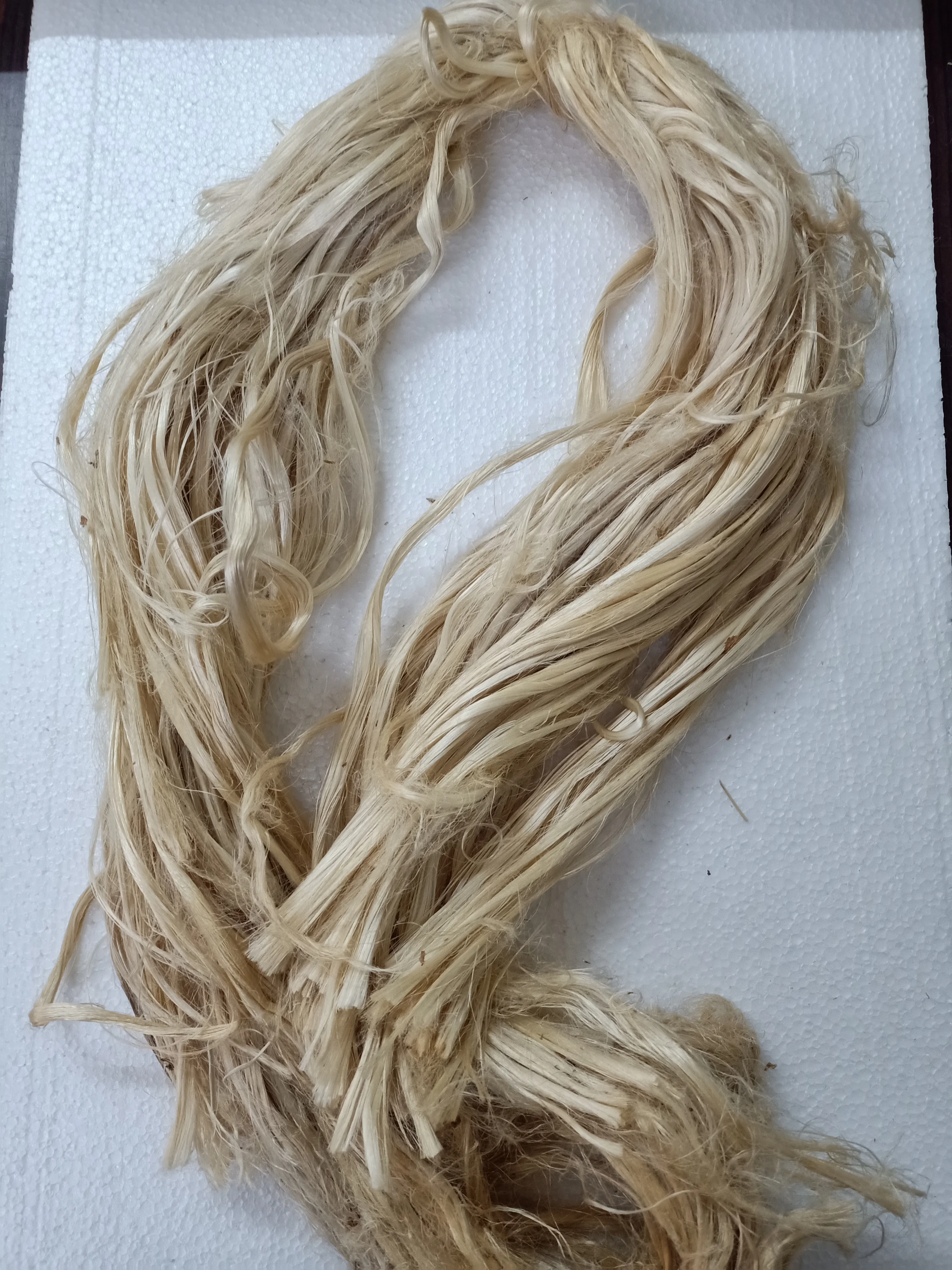 Natural Cleaned And Combed Banana Fibers Ideal For Textile Applications ...