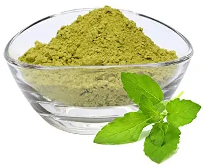 Pure Holy Basil Leaves Extract Powder Ursolic Acid Tulsi Ocimum Sanctum ...