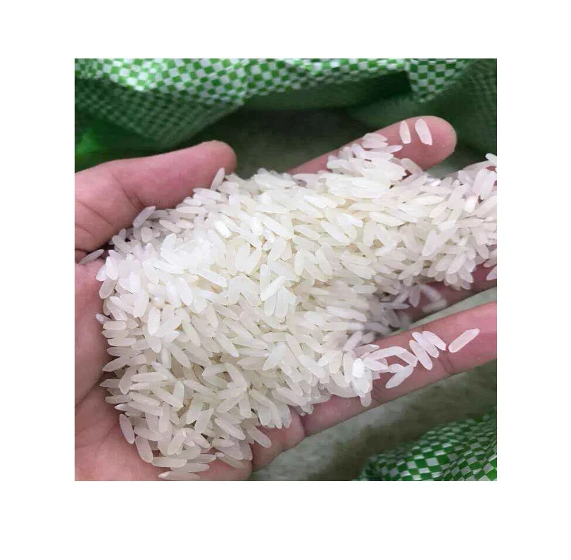 Premium Thai Jasmine Fragrance Rice Thailand Top Quality And Export ...